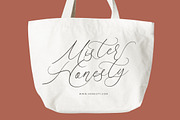 Anchesty Montaine Stylish Font, a Script Font by stylishtype.co (Thumbnail 4 of 20)