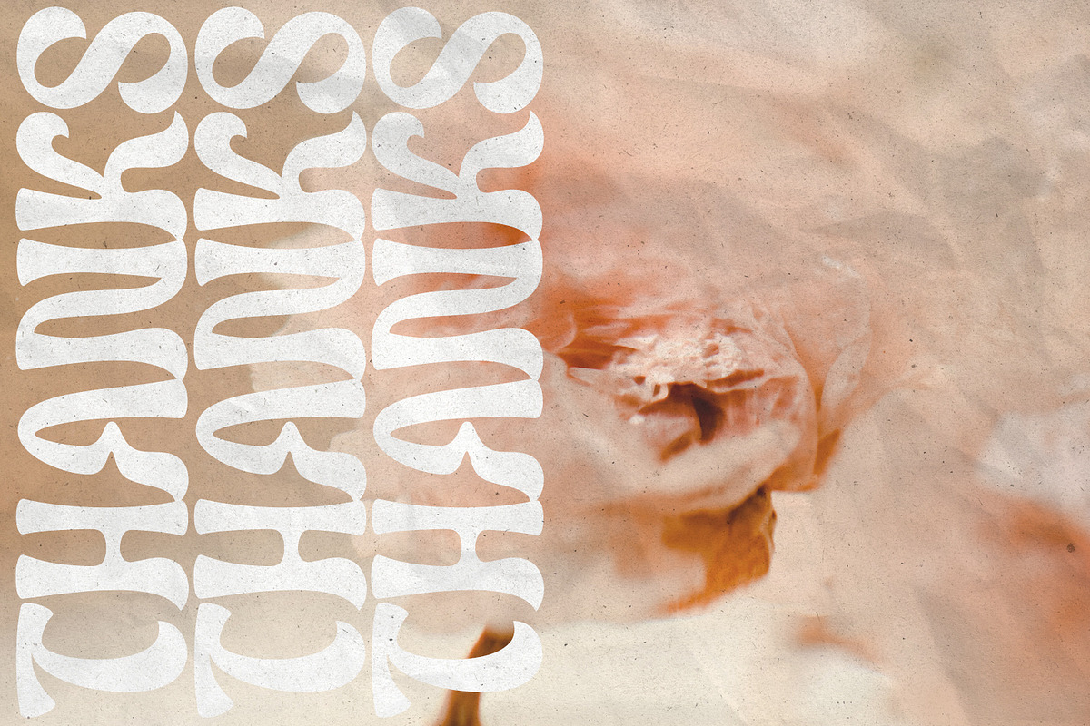 Orelia Display, a Sans Serif Font by Orenari (Photo 11 of 11)
