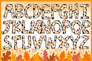 Fall & Autumn-PNG fonts, a Handwritten Font by It me digital art (Thumbnail 3 of 8)