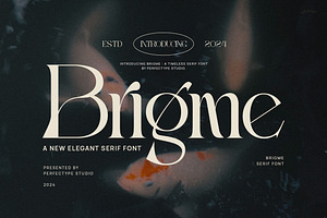 Brigme Elegant Serif Font Typeface