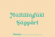 Piassey - Rough Serif Font, a Serif Font by Youthlabs Studio (Thumbnail 11 of 12)