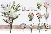 English Garden Watercolour florals, a Decorative Illustration by Katy Clemmans (Thumbnail 4 of 13)