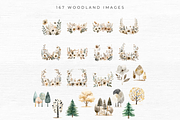 Woodland Animal Clipart, an Animal Illustration by EllyandLima (Thumbnail 10 of 10)