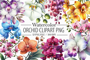 Watercolor Orchid Clipart, an Illustration by Libby Wishes