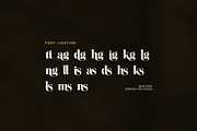 Maling Elegant Serif Font, a Serif Font by Perfectype (Thumbnail 8 of 8)