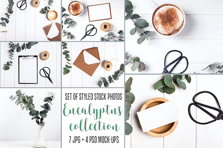 Stock photos. Eucalyptus collection, a Background Photo by Imageblend