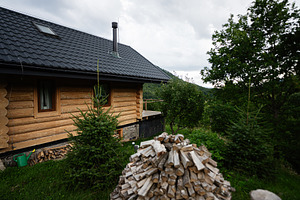 Rustic log cabin surrounded by lush green trees and stacked firewood, a Photo by AS photostudio