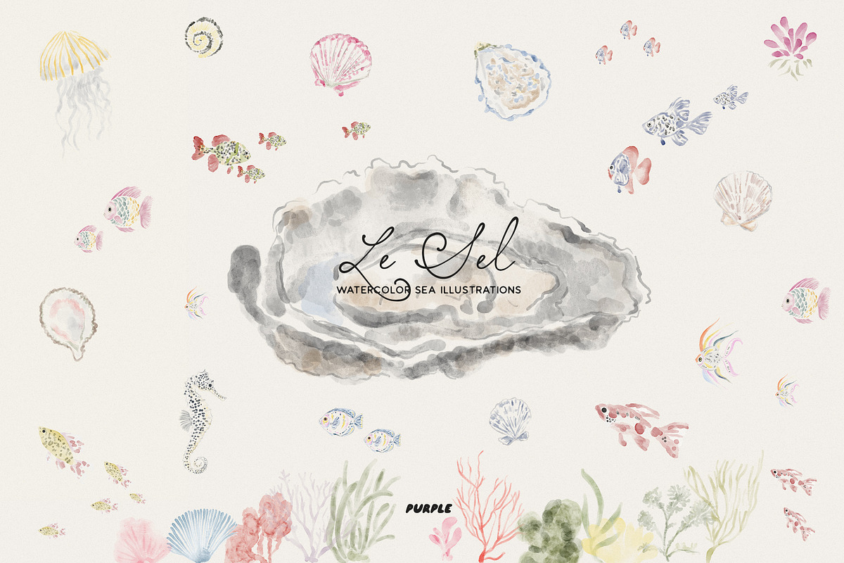 Le Sel: Watercolor Sea Illustrations, a Decorative Illustration by Purple (Photo 4 of 12)