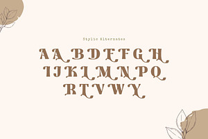 Bingo Dilan - Modern Display Font