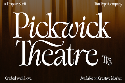 TAN - EGRET, a Serif Font by TanType