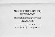 Rosevale Serif, a Serif Font by gafaroff studio (Thumbnail 6 of 6)