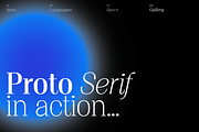 Proto Serif Font Family, a Serif Font by Bukva™ Type Foundry (Thumbnail 11 of 16)