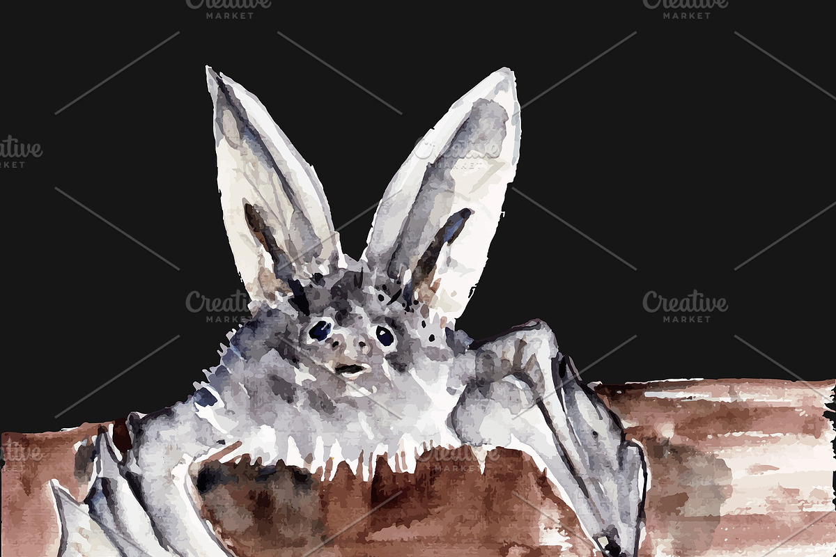 Vampire bats, watercolor/ink/vector, an Animal Illustration by Watercolor_Vector Graphic (Photo 12 of 22)