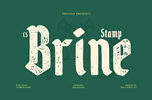 CS Brine Stamp