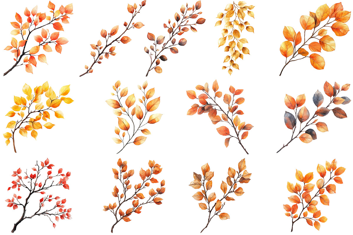 Botanical Fall Branches Clipart, an Illustration by Pixels.Craft (Photo 2 of 5)