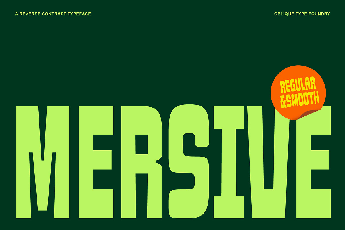Oblq Mersive, a Sans Serif Font by Oblique Foundry (Photo 1 of 11)