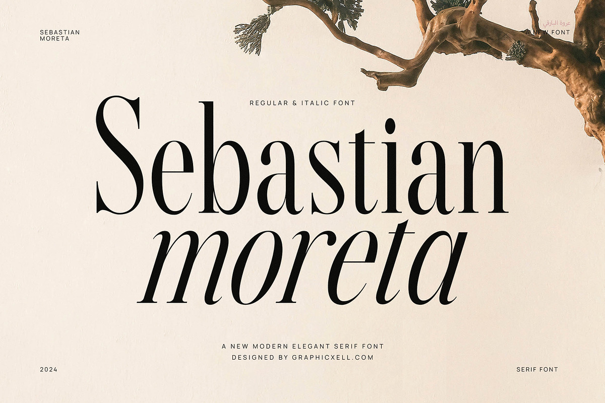 Sebastian Moreta Family Serif Font, a Serif Font by Graphicxell (Photo 1 of 8)