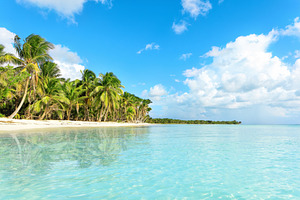 Vacation in dominican republic containing beach, caribbean, and paradise