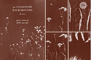 CYANOTYPE Botanical Backgrounds, a Background Graphic by Alisovna (Thumbnail 9 of 15)