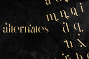 Magoa - Serif Ligature Typeface, a Serif Font by VP Fonts (Thumbnail 5 of 10)