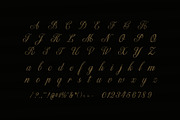 Mahogany Wedding Script Font, a Script Font by Graphicxell (Thumbnail 7 of 8)