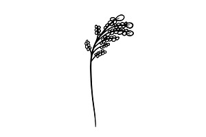 Flower one line monochrome. hand, an Illustration by Nenahliadava Design