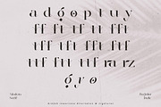 Arafah - Elegant & Modern Serif, a Serif Font by StudioinBry (Thumbnail 10 of 20)