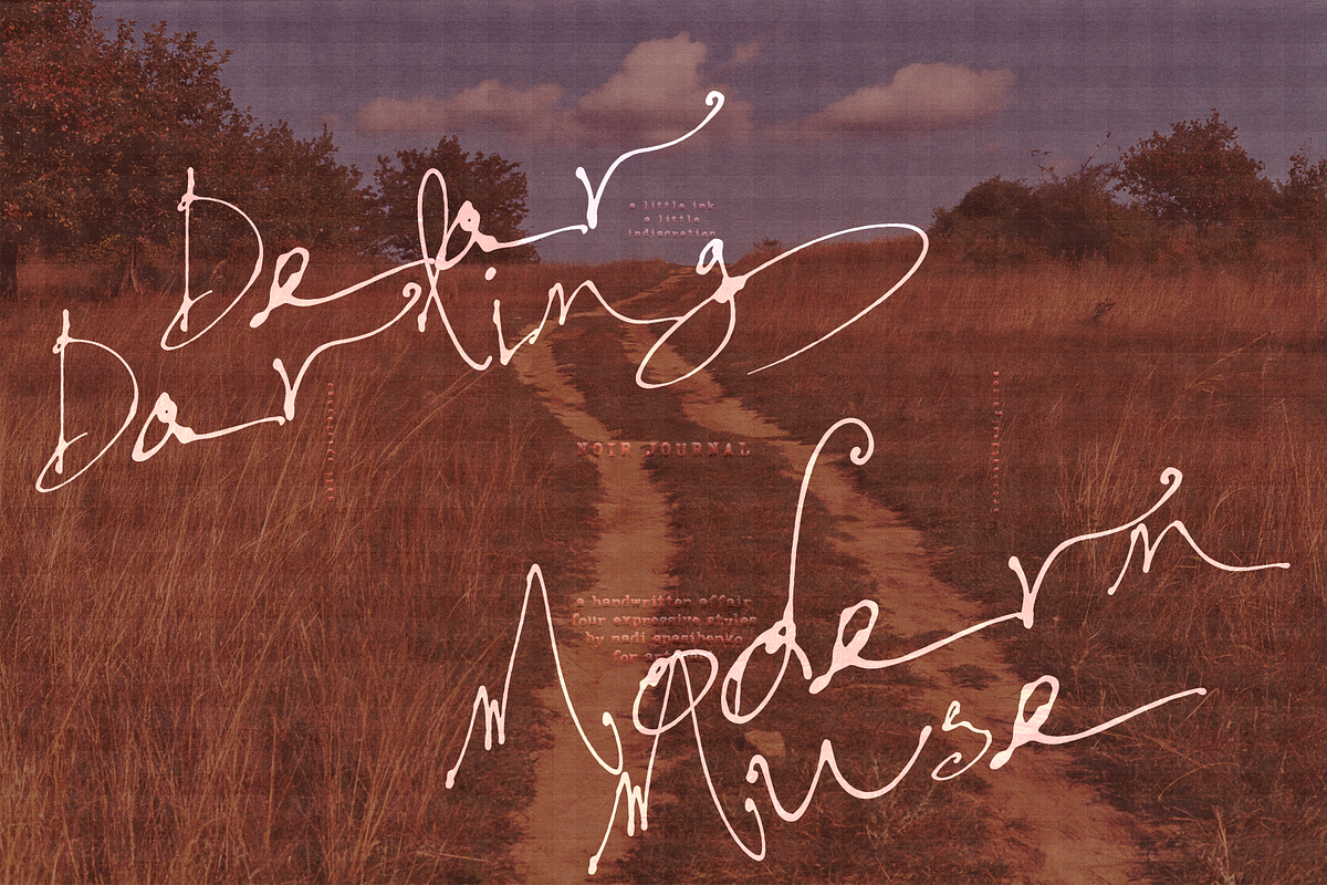 Noir Journal — Wild Ink Script, a Script Font by nadispasibenko (Photo 3 of 11)