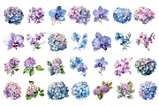 Blue flower. Watercolor clipart, a Decorative Illustration by ElenazlataArt (Thumbnail 4 of 16)