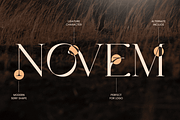 LOOK - Modern Elegant Logo Font, a Serif Font by Sensatype (Thumbnail 9 of 13)