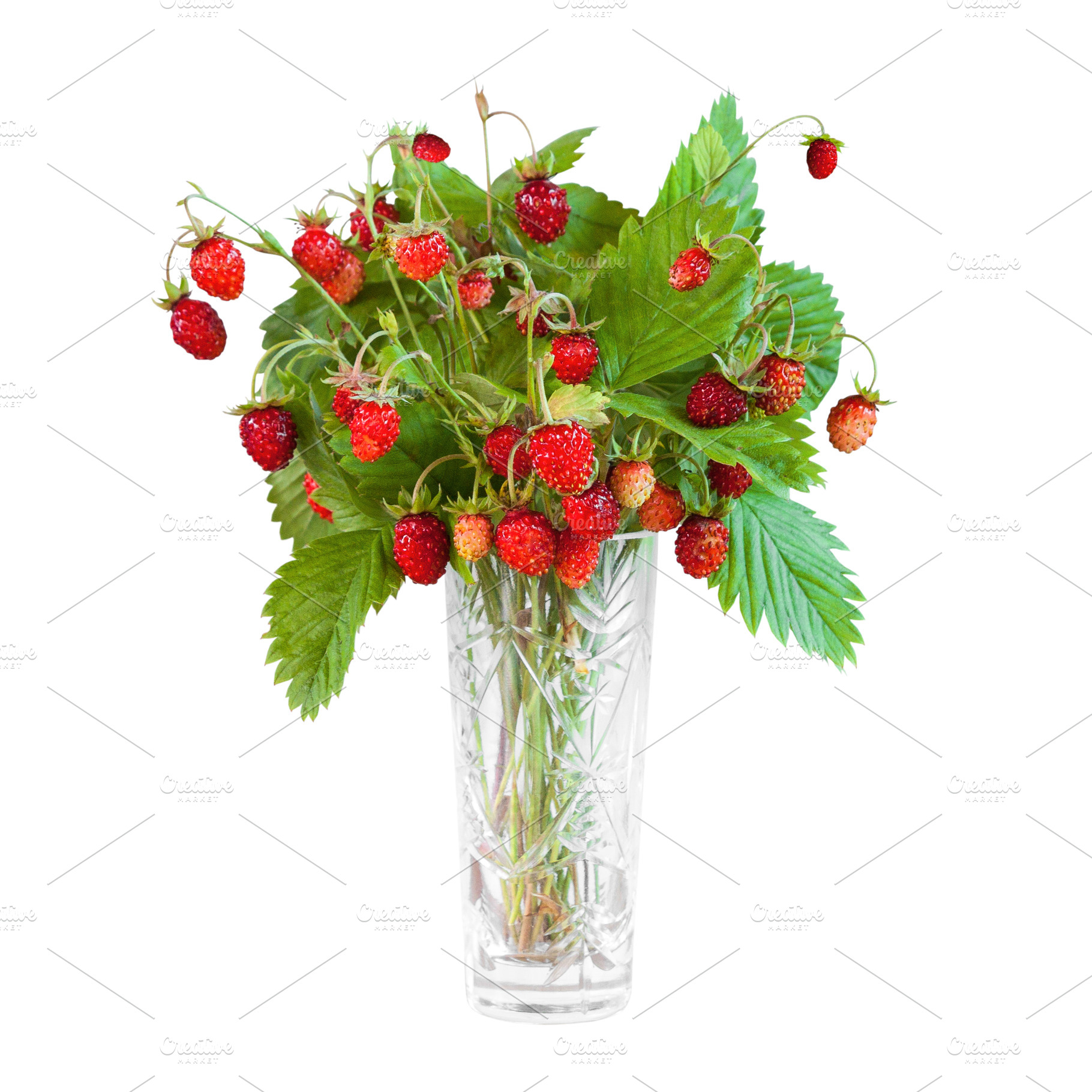 Bouquet of wild strawberry isolated, a Nature Photo by BOOCYS