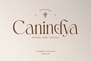Canindya - Modern Elegant Luxury, a Serif Font by Qweera Studio (Thumbnail 1 of 12)