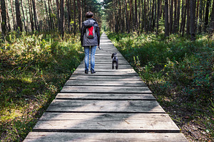 Woman walking dog on wooden pathway, a Person Photo by BOOCYS