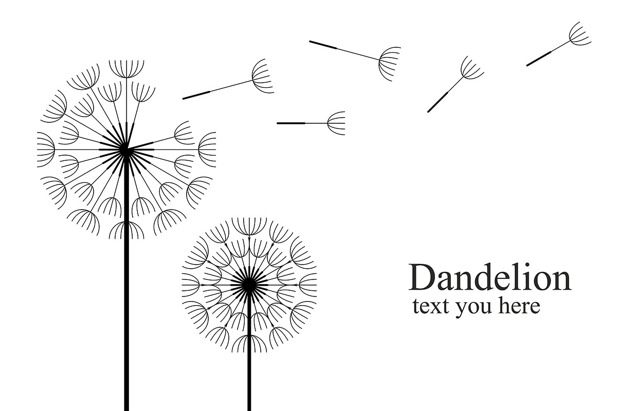 Dandelion + pattern, a Background Graphic by Volyk (Photo 2 of 4)