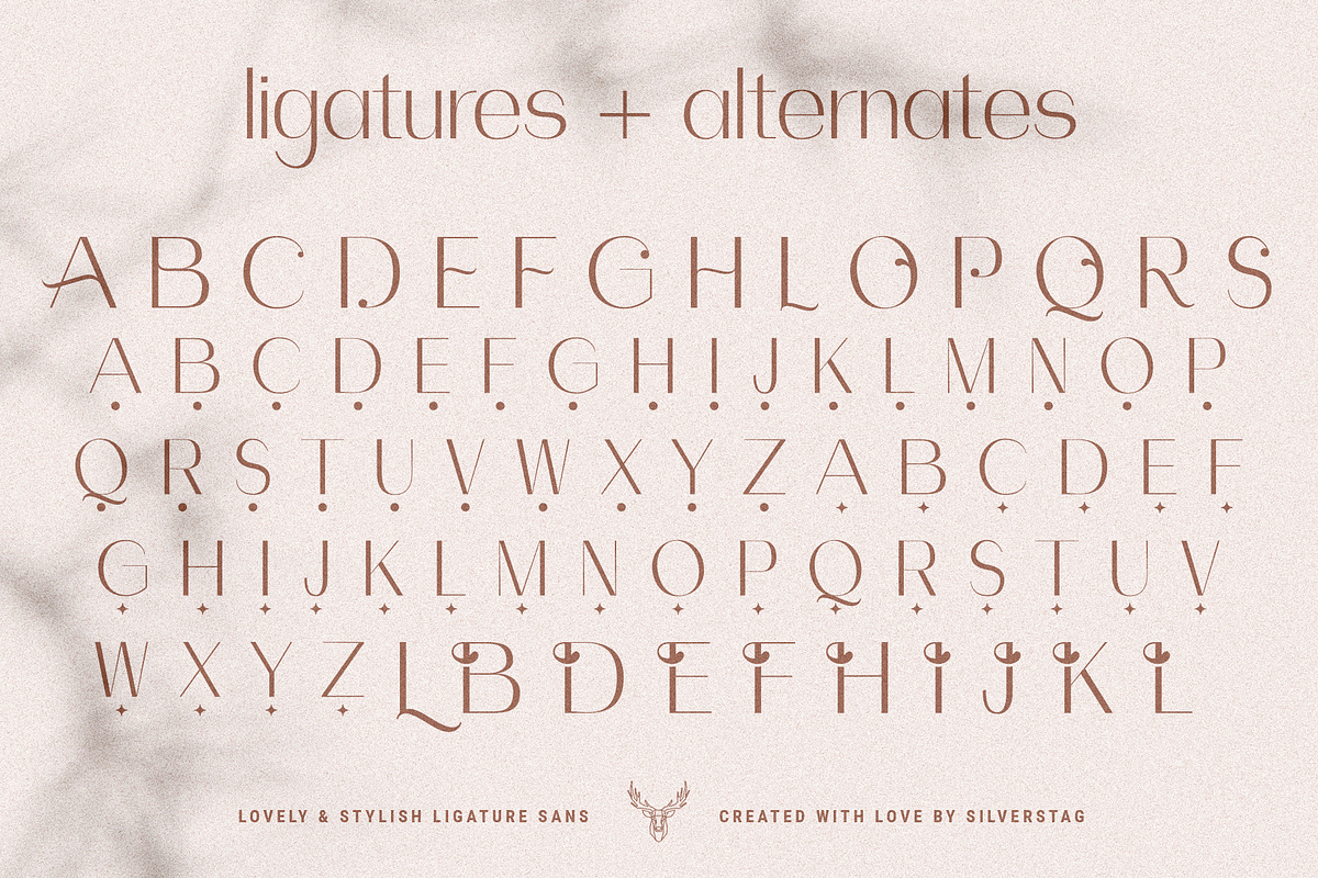 Celine - Chic Ligature Sans & Extras, a Sans Serif Font by SilverStag Type Foundry (Photo 19 of 23)
