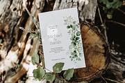 LUSH - Eucalyptus and Gold, a Decorative Illustration by Isabelle Salem (Thumbnail 2 of 7)