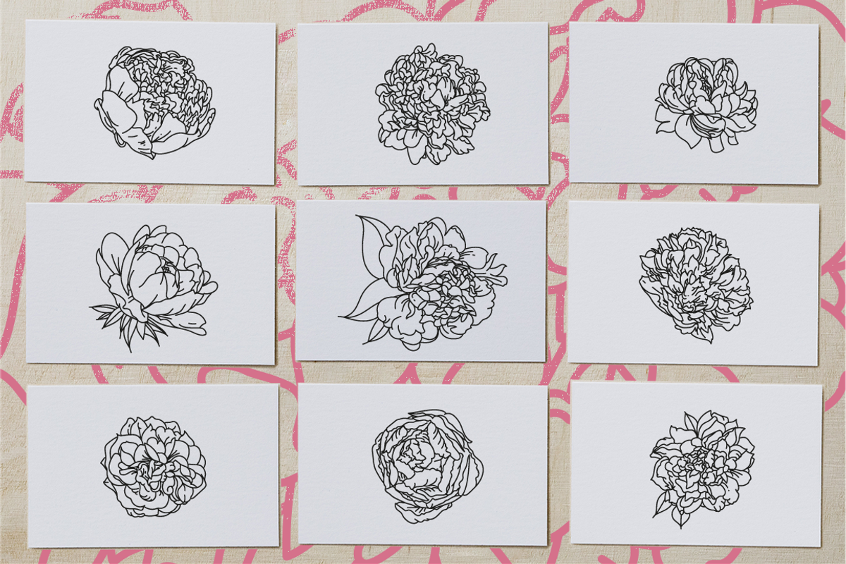 50 Peony Flower Vector Illustrations, an Illustration by Inkwell Supply Co (Photo 7 of 20)