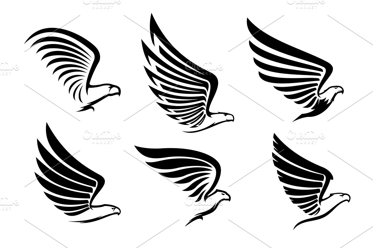 Eagle, falcon and hawk icons, a Decorative Illustration by Vector Tradition