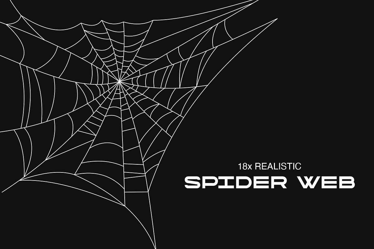 Spider Web Design Element, a Graphic by freeject.net (Photo 1 of 2)