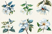 Jasmine Flower Bloom Clipart, an Illustration by OK Design (Thumbnail 2 of 5)