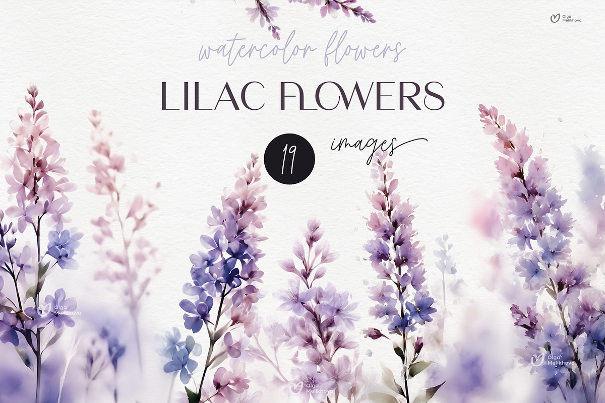 Lilac flowers, Watercolor clipart, an Object Illustration by ollalya (Photo 1 of 5)