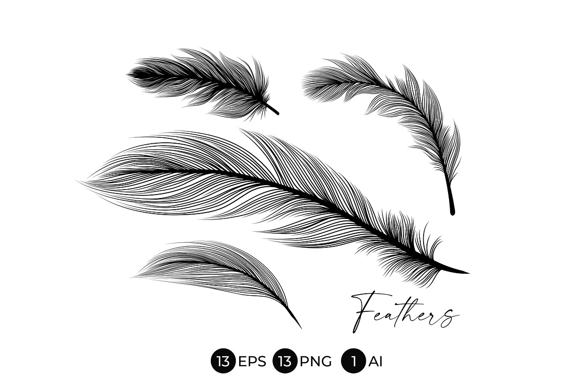Black Feathers Stencil Boho Line Art, an Illustration by ilonitta (Photo 5 of 6)