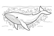 Whale Line Art Vector Bundle, an Illustration by yasushie (Thumbnail 28 of 51)