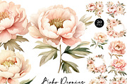 Boho Peonies Floral Clipart Bundle, an Object Illustration by Design Scotch