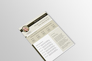 Exclusive modern Resume (CV) - gray, a Resume Template by DutchDigitalDesign (Thumbnail 5 of 5)