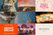 Modern font bundle 99% off!, a Serif Font by BilberryCreates (Thumbnail 2 of 28)