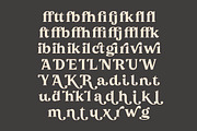 Sonttak Bold Retro Display Serif, a Serif Font by timelesstype.co (Thumbnail 13 of 15)