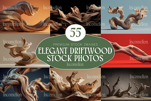 55 Luxury Driftwood Stock Photos, a Nature Photo by Incomelion