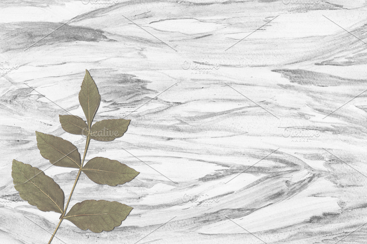 White Watercolor textures, a Texture Graphic by Color_Brush (Photo 5 of 6)