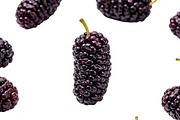 All Fruits Bundle Master Collection, a Food & Drink Photo by FlyeredTemplate (Thumbnail 3 of 130)